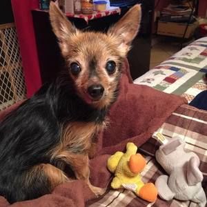 Meet your Posher, Charlotte